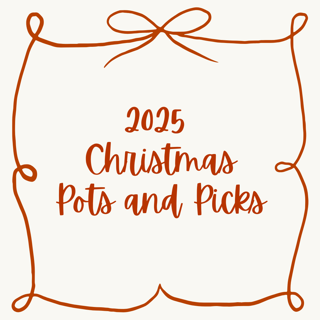 2025 Christmas Pots and Picks