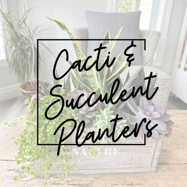 2024 Cacti & Succulent Planters