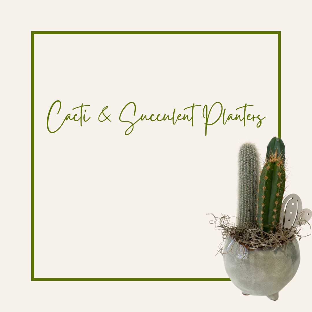 2023 Succulent / Cacti Planters