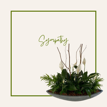 Sympathy