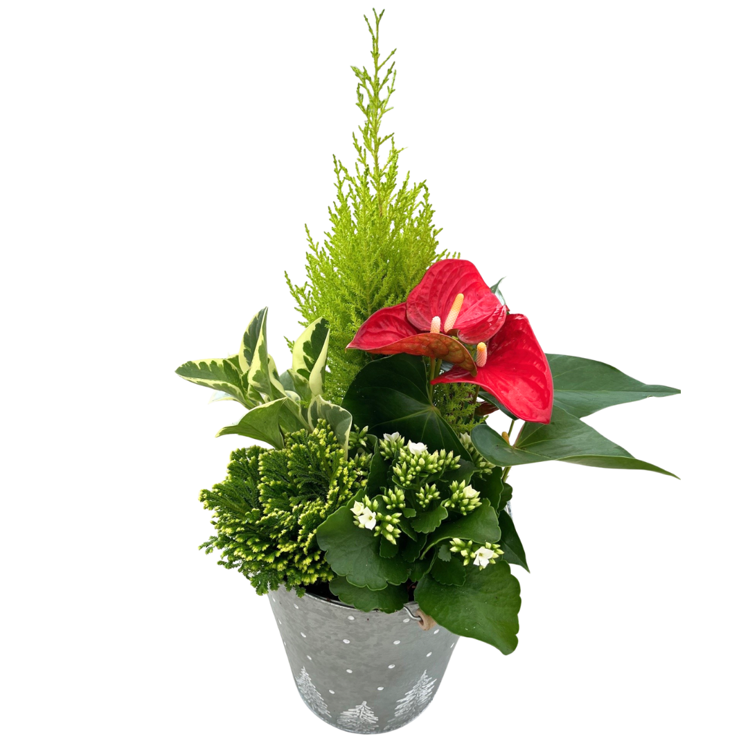 Christmas XL Mix Tree Tin Bucket