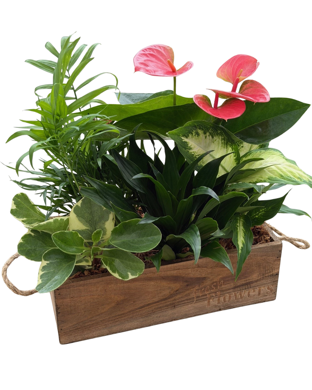 Mother's Day Mixed Fresh Flowers Wooden Box - Large