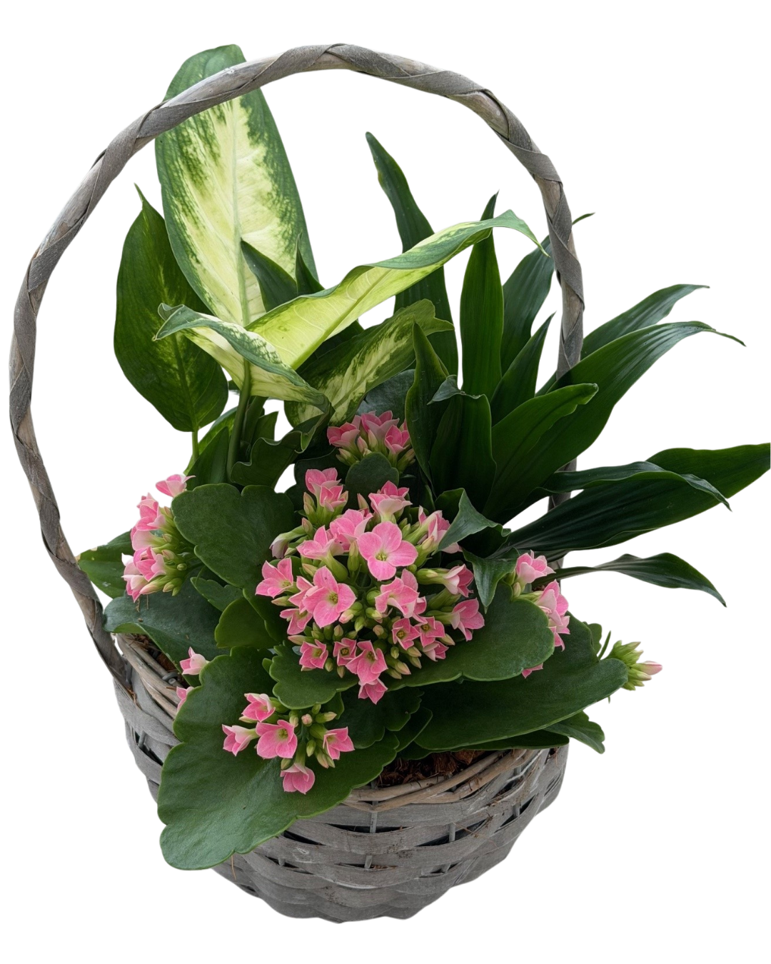 Mother's Day Medium Light Grey Wicker