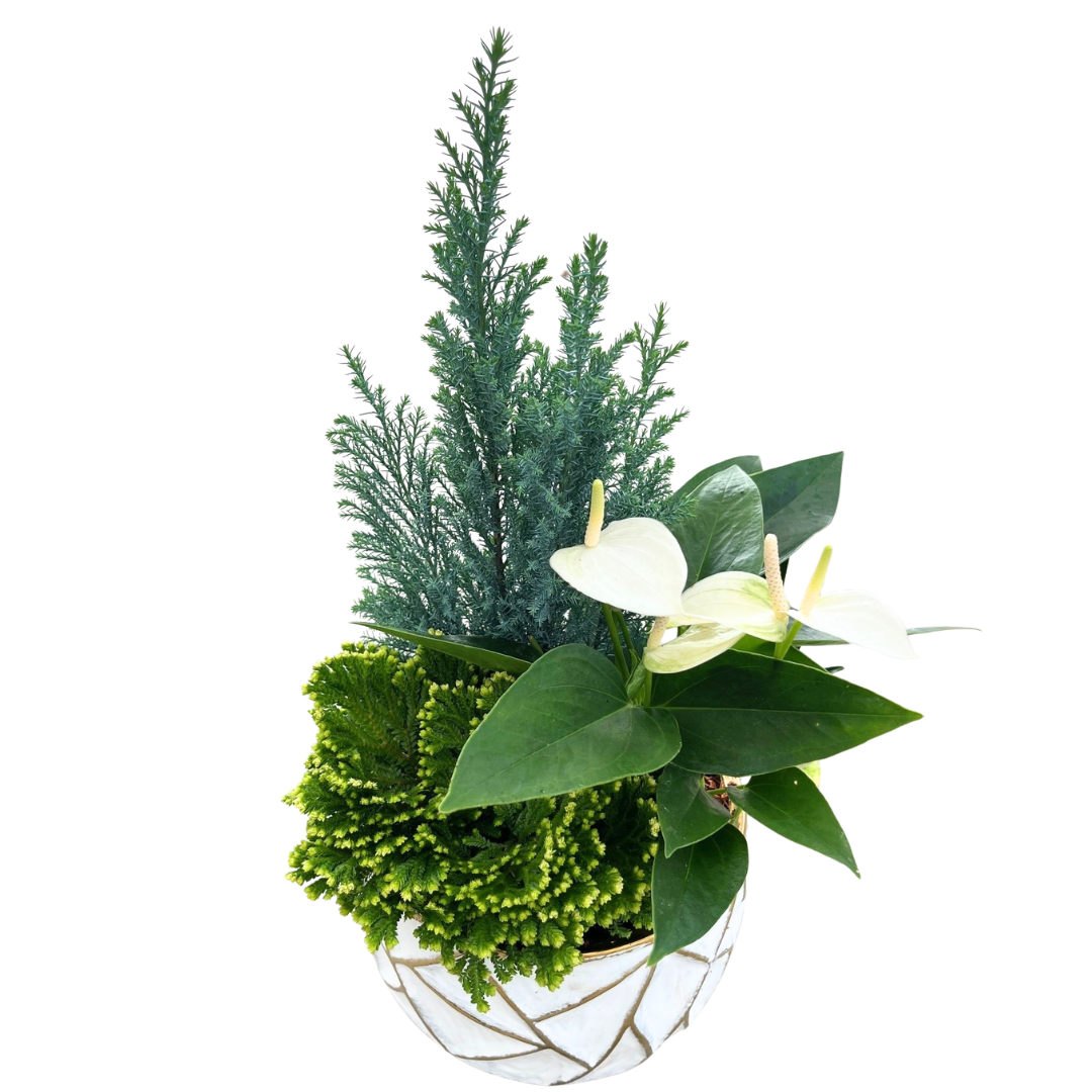 Christmas Large Geo Planter