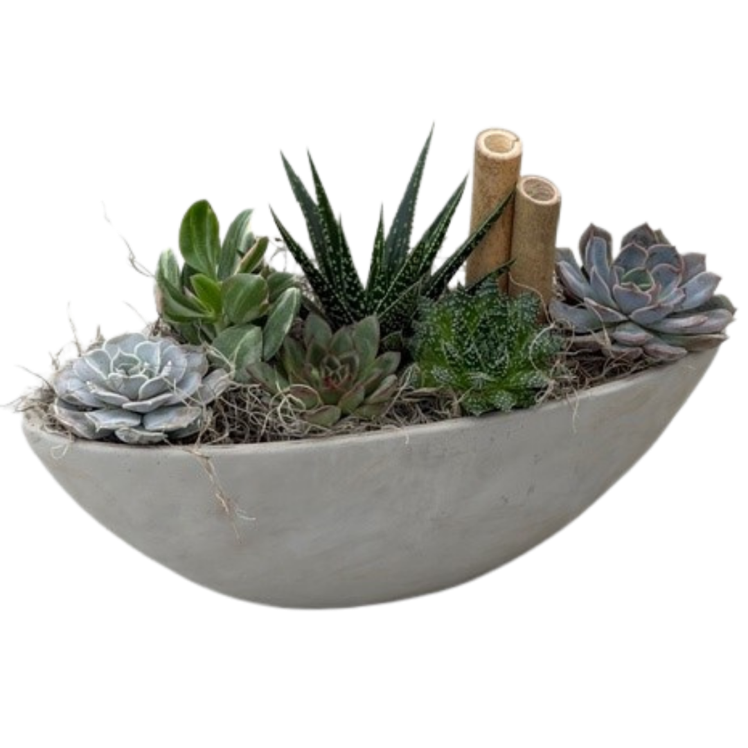 Concrete Succulent Boat