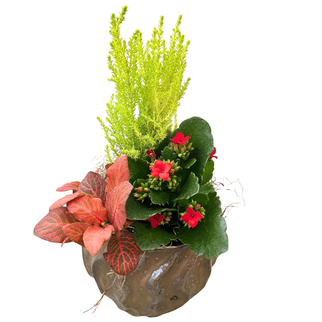 Christmas Mix Bronze Wave