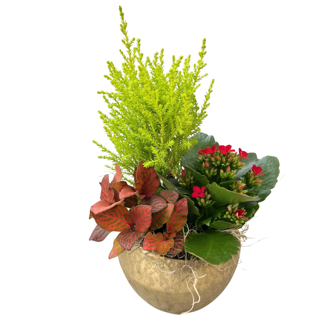 Christmas Mix Gold Rustic