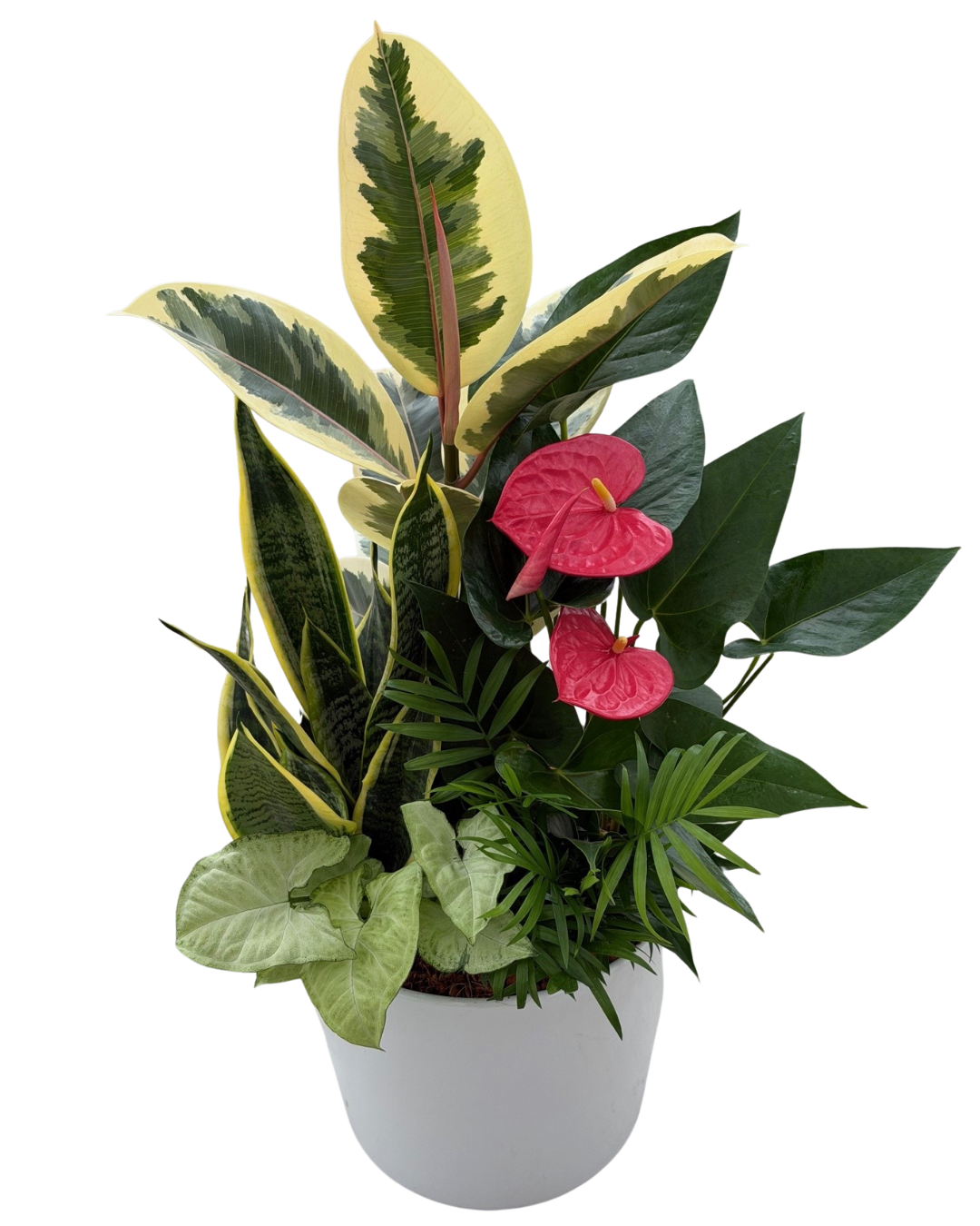 Mother's Day Giant Mixed Planter