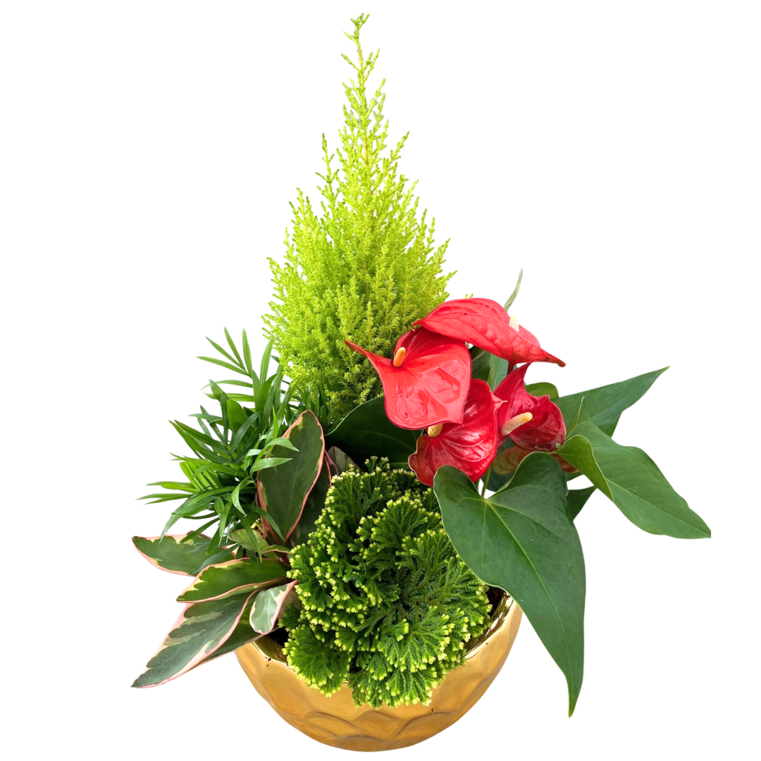 Christmas XL Gold Mix