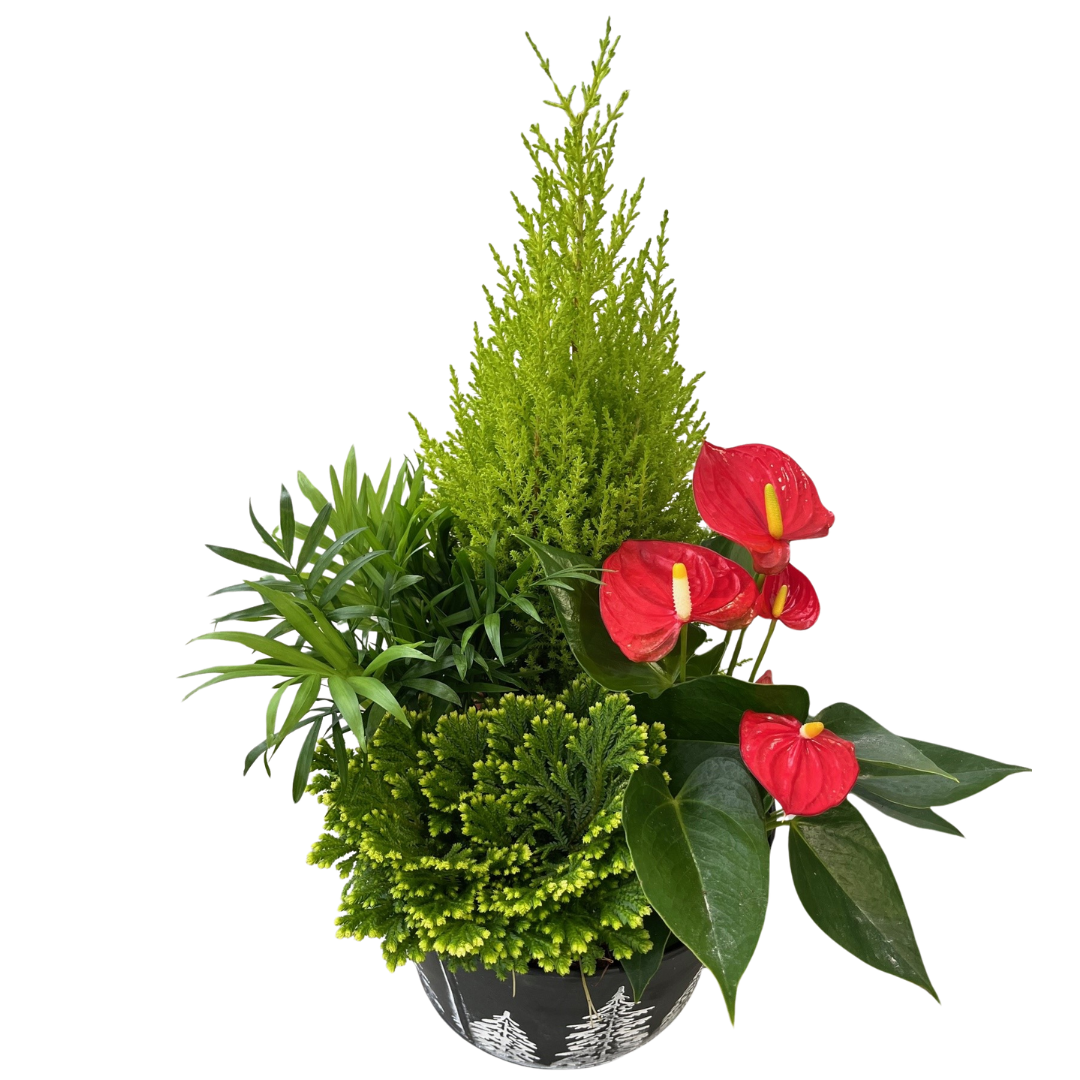 Christmas Large Black Tin Mix