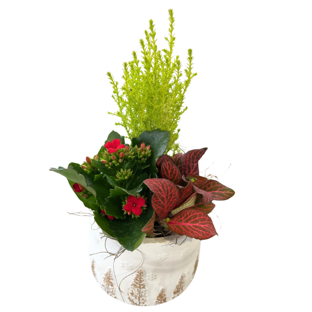 Christmas Mix Snow Tree White Ceramic
