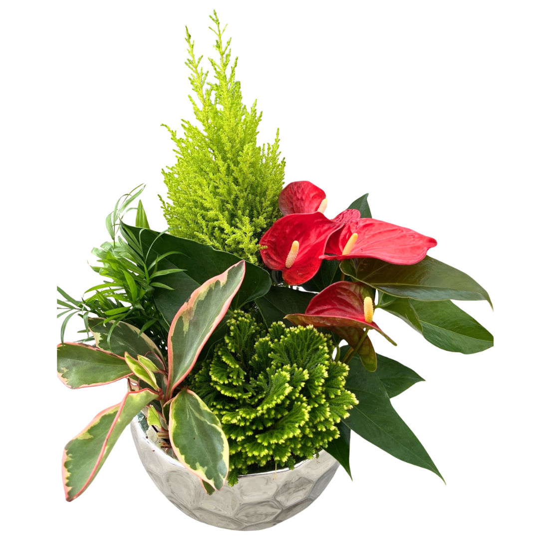 Christmas XL Silver Mix