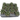 2.5" Hawarthia Royal Albert (Pack 12)