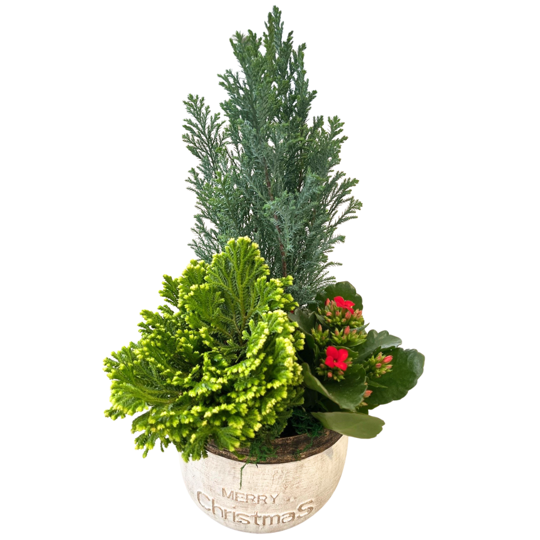 Christmas Mix Merry Christmas Rustic