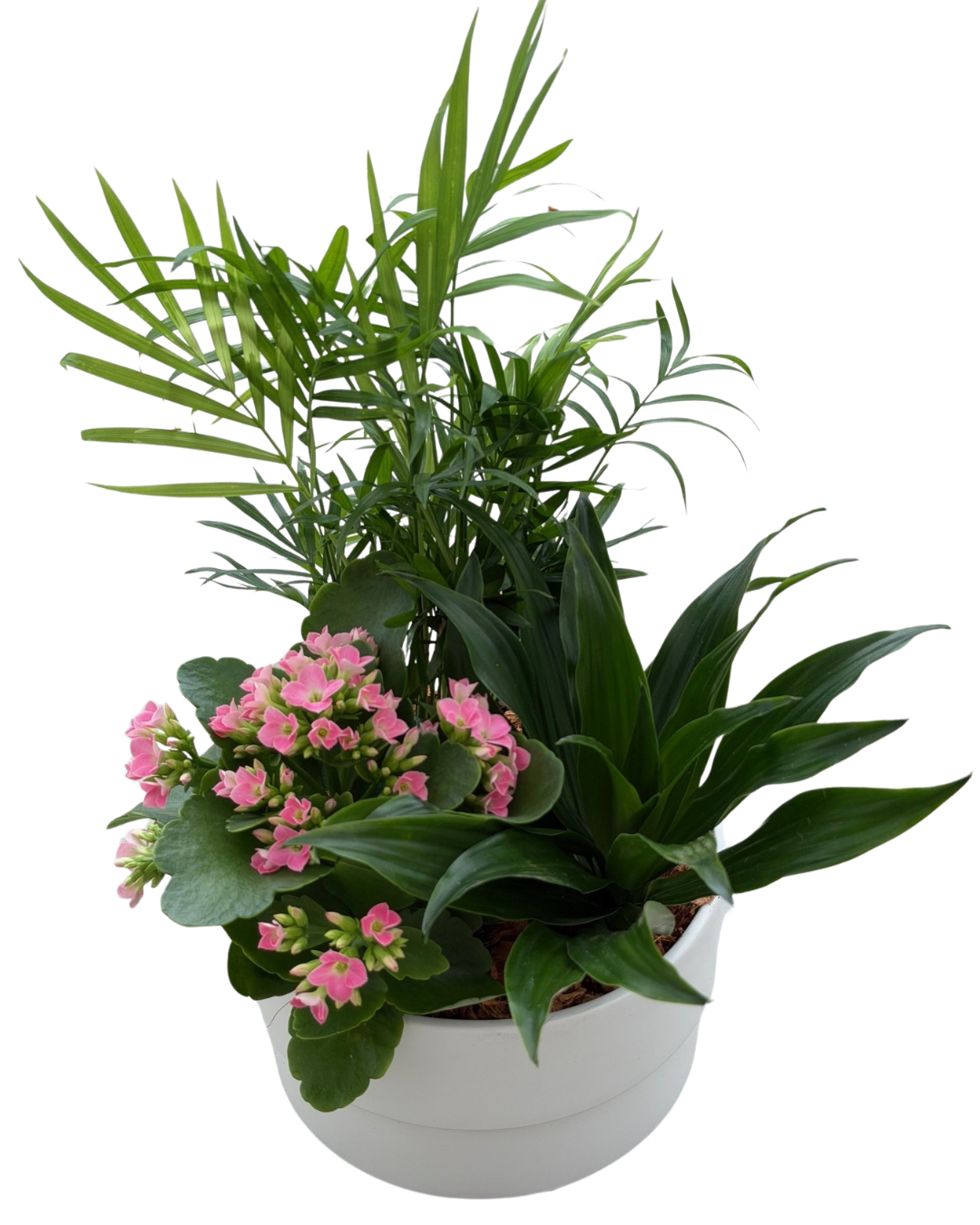 Mother's Day Manon Mixed Planter