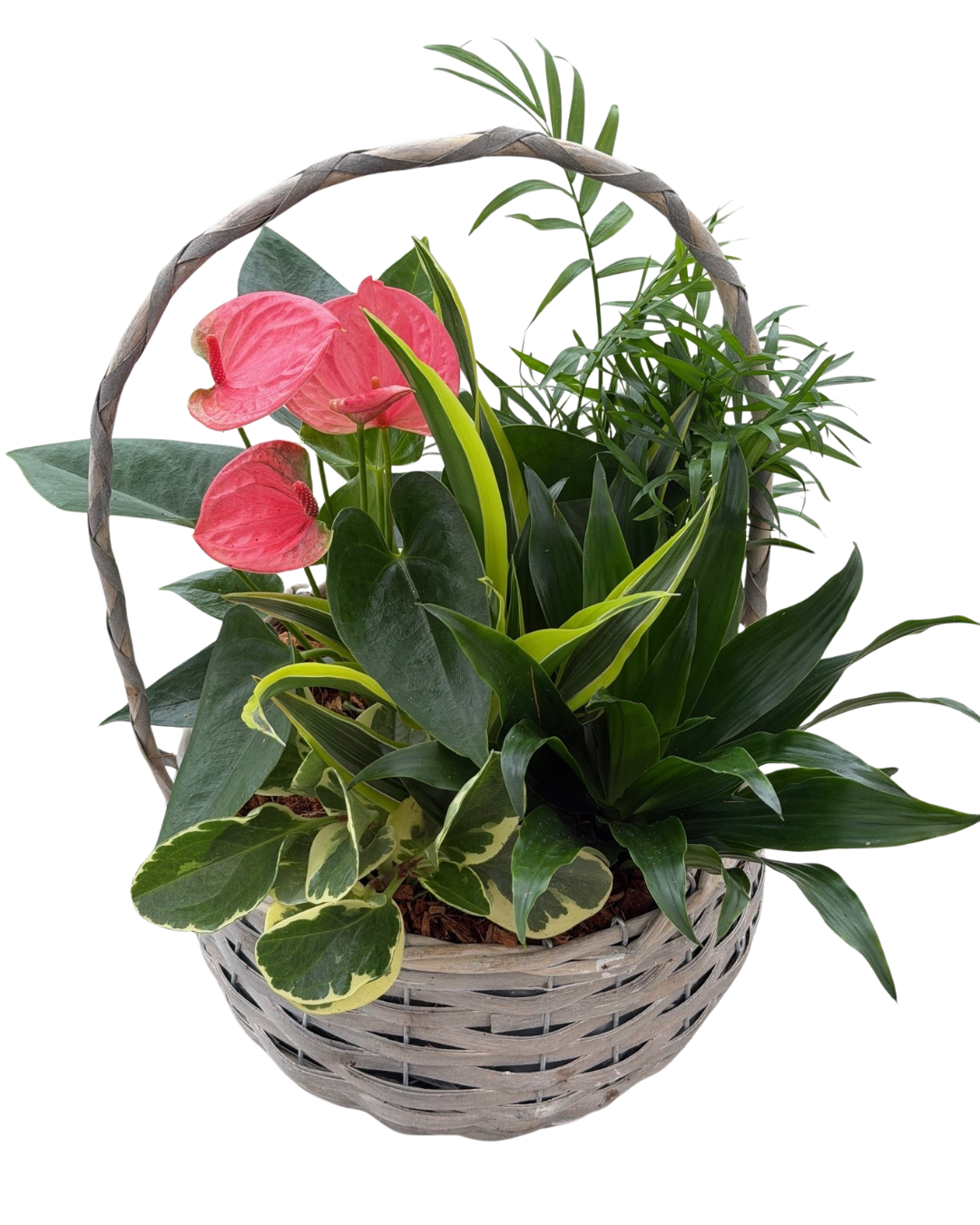 Mother's Day XL Light Grey Wicker