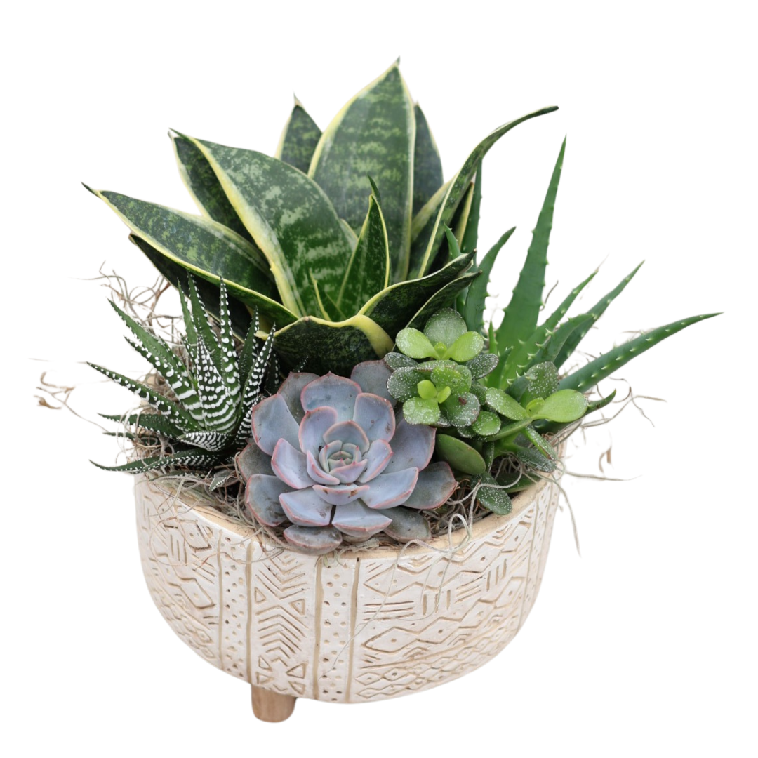 Succulent Design Ceramic Pedestal