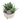 Succulent Design Ceramic Pedestal