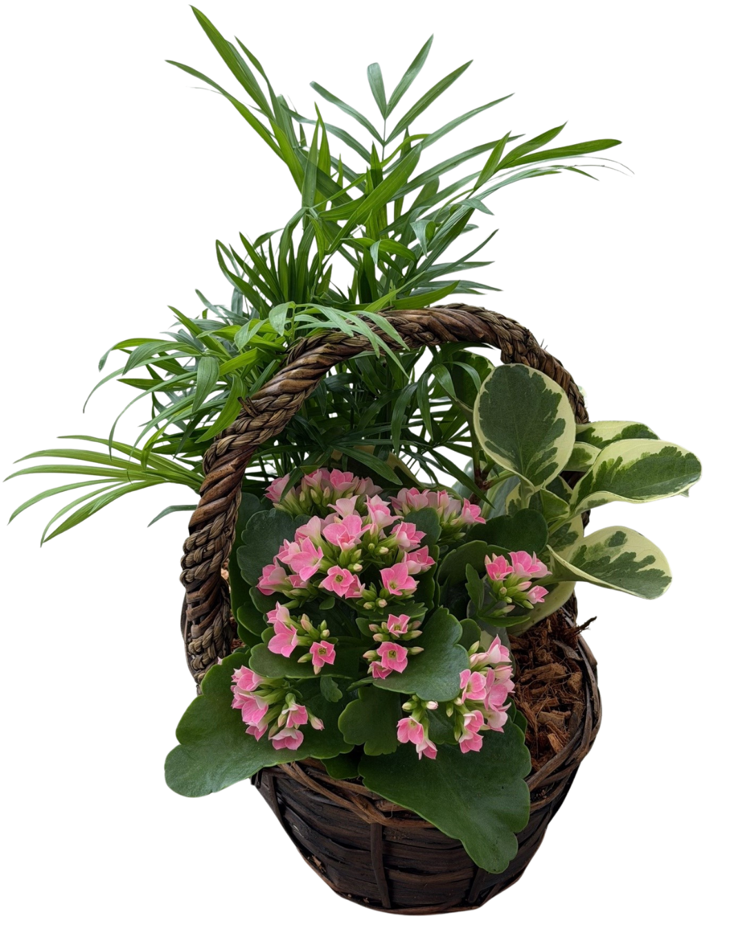 Medium Mix Tropical Braided Wicker
