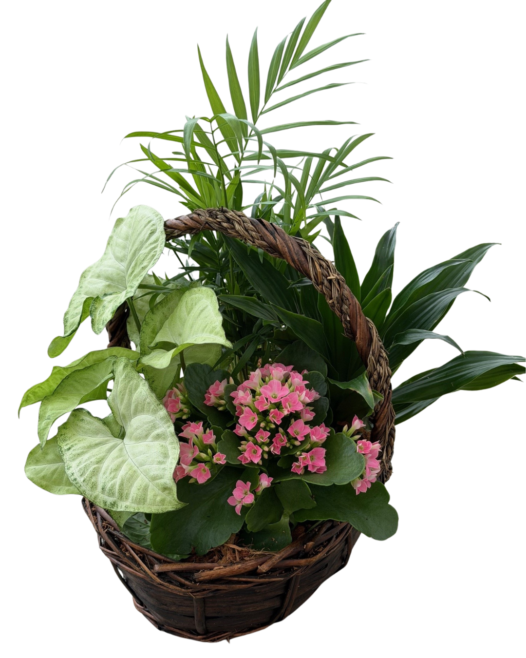 Large Mix Tropical Braided Wicker