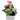XL Anthurium Modern White Square