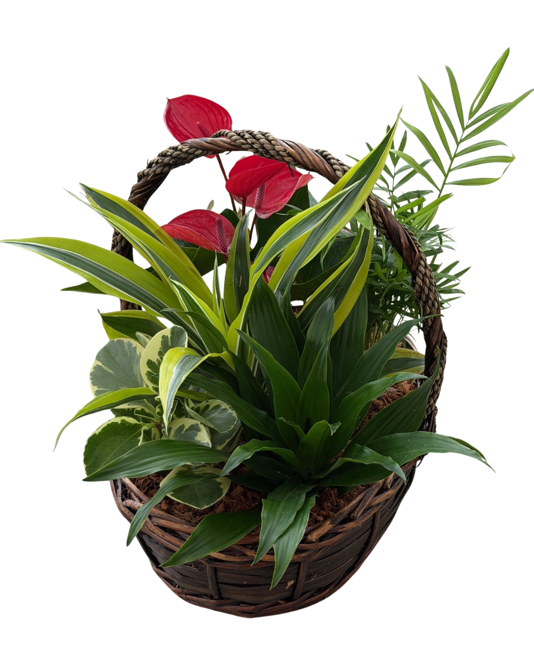 Mother's Day Tropical XL Braided Wicker
