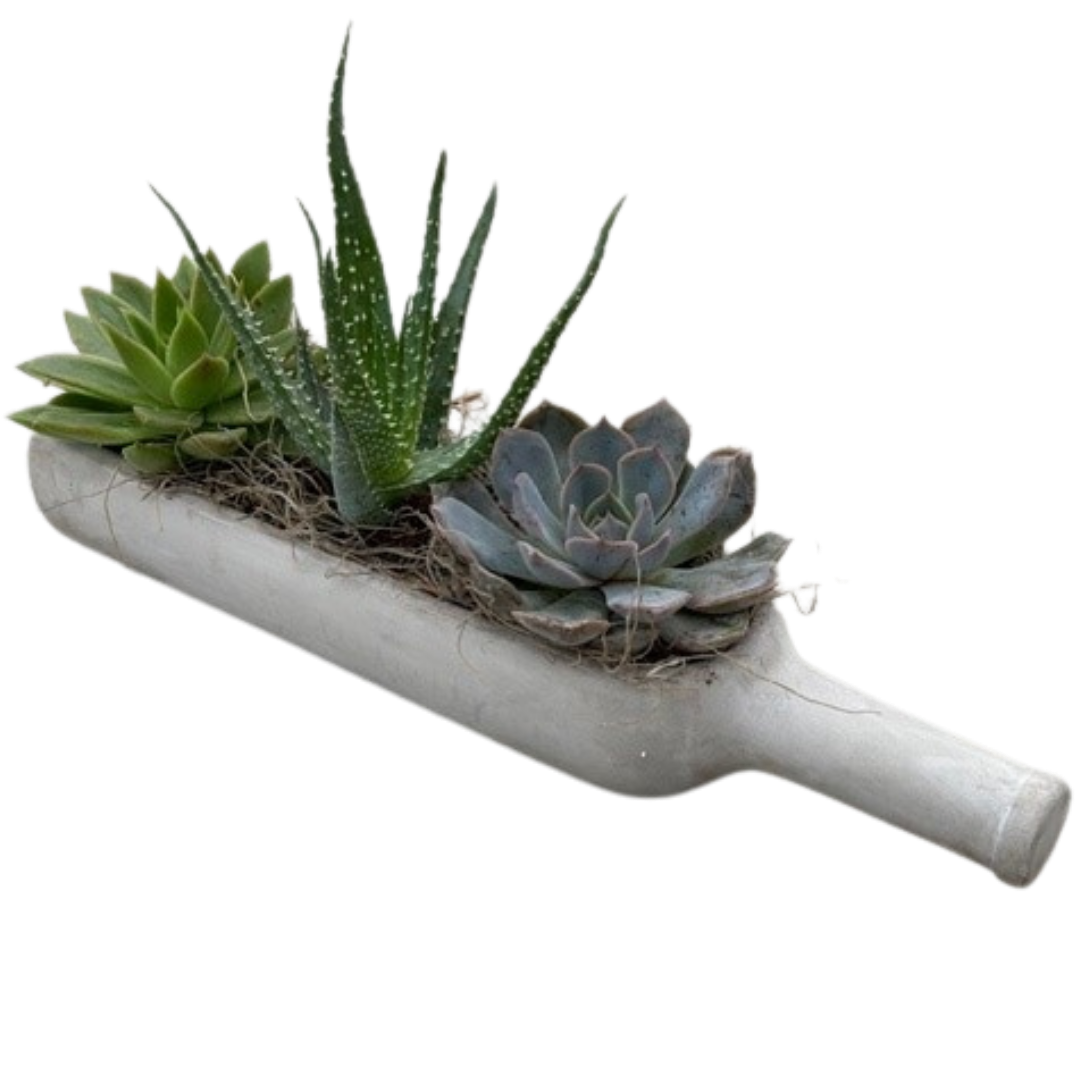 Concrete Succulent Wine Bottle