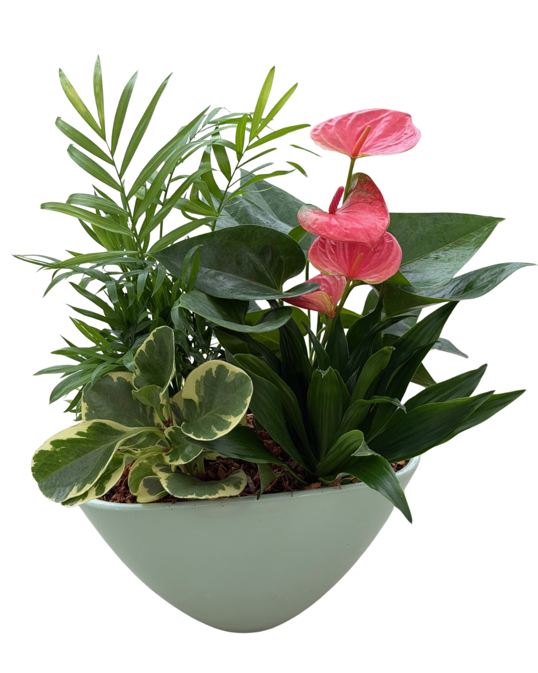Mother's Day Large Eillen Pastel Sage Green