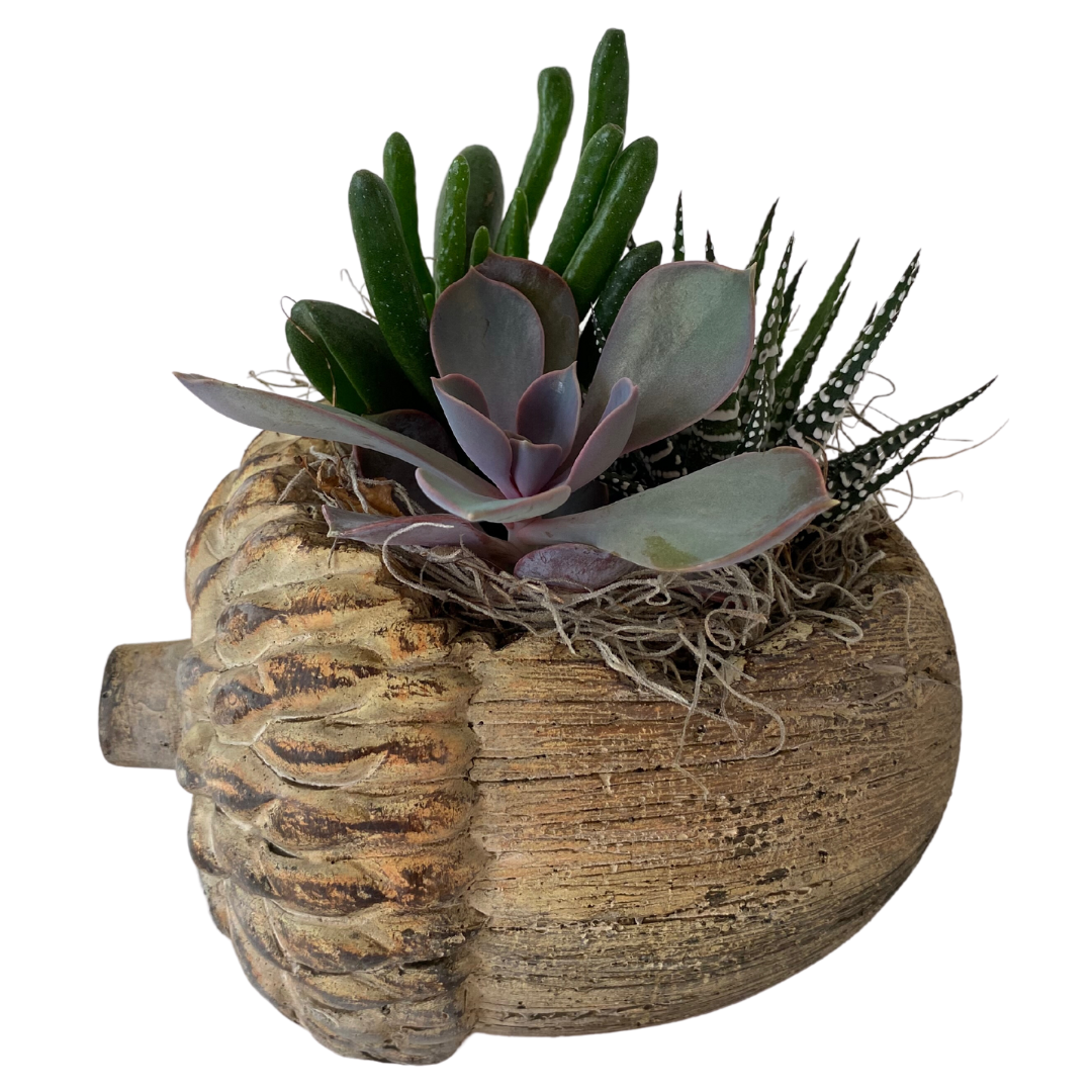 Acorn Succulent Planter