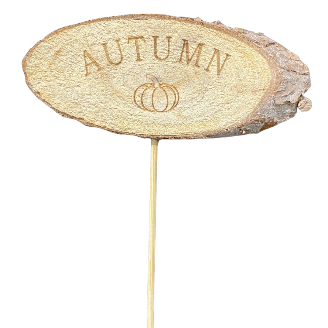 Wooden Autumn Pick (Pack12)