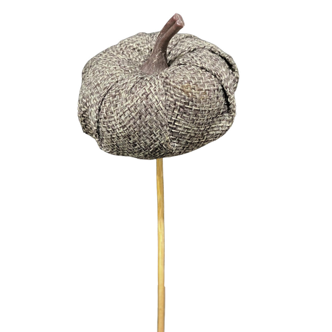 Mini Grey Pumpkin Pick - (Pack 24)
