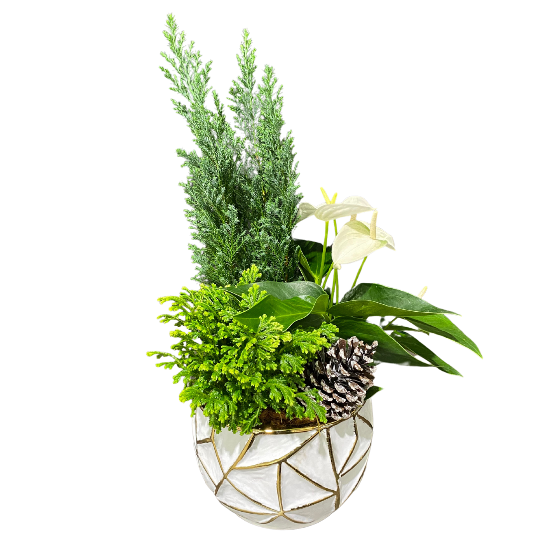 Christmas Large Geo Planter