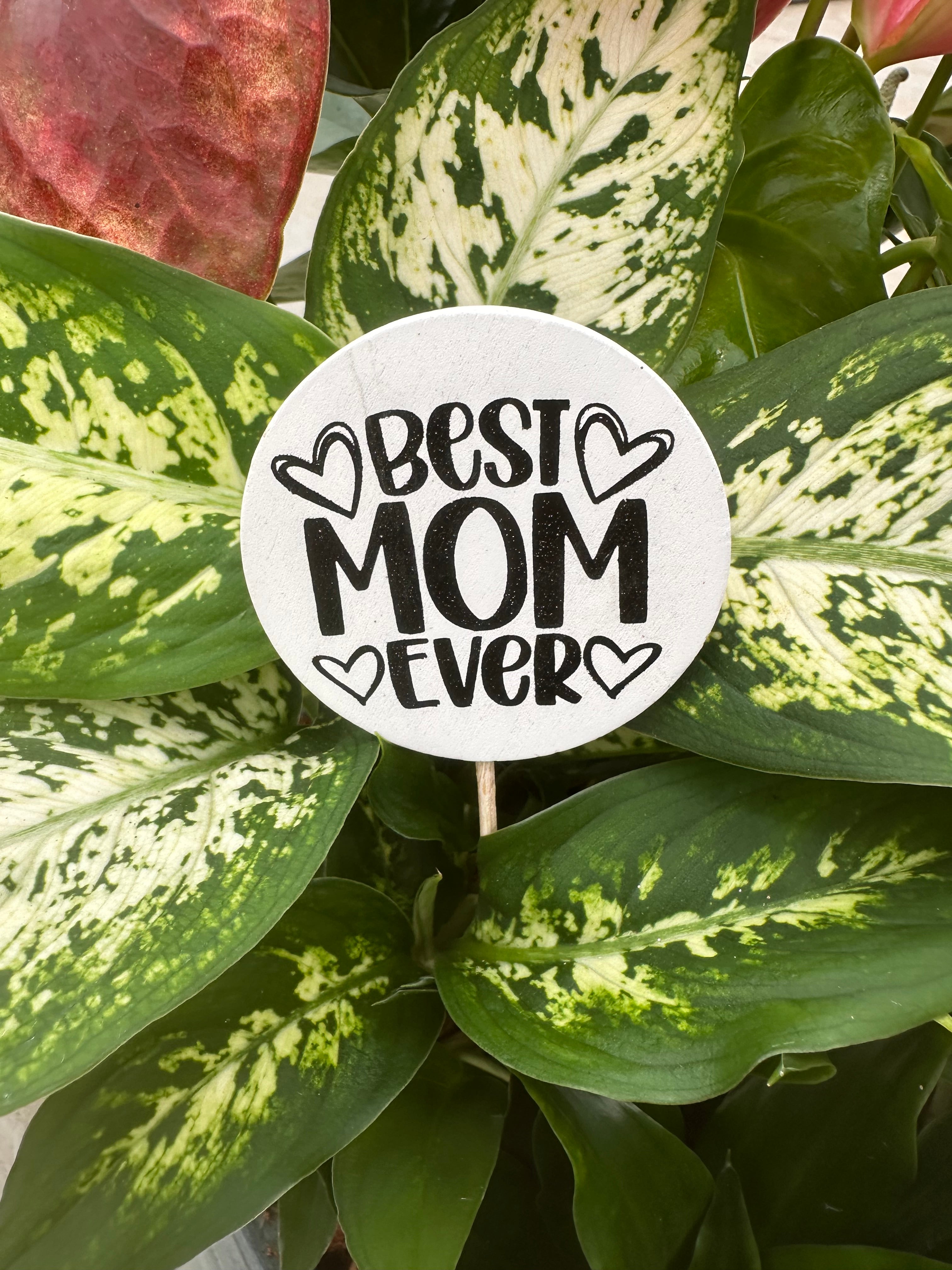 Best Mom Ever Pick (Pack12)