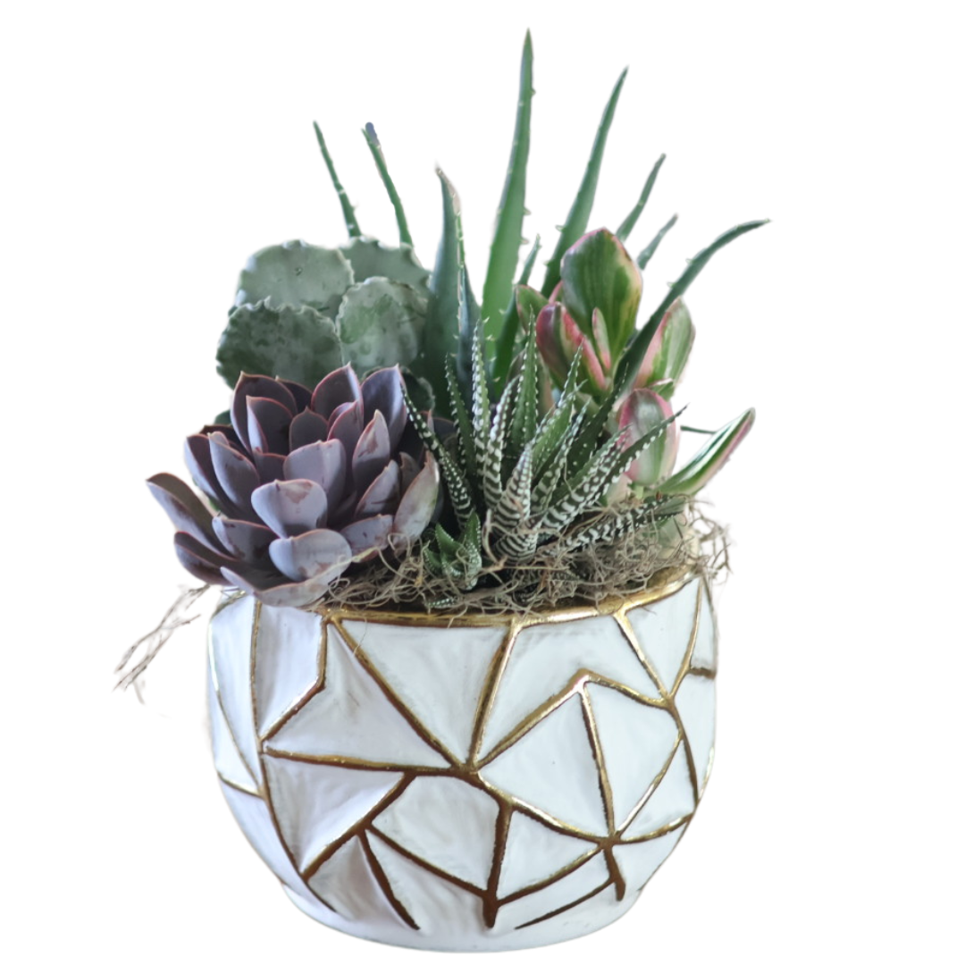 Large Gold Geo Succulent