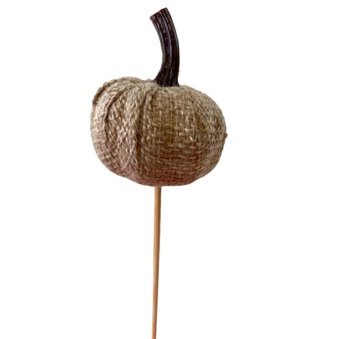Mini brown Pumpkin Pick - (Pack 24)