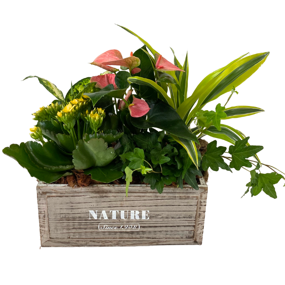 Nature Tropical Crate