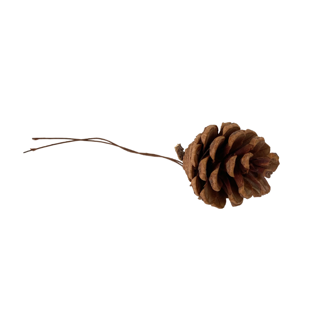 Pinecone Tie (Pack 12)