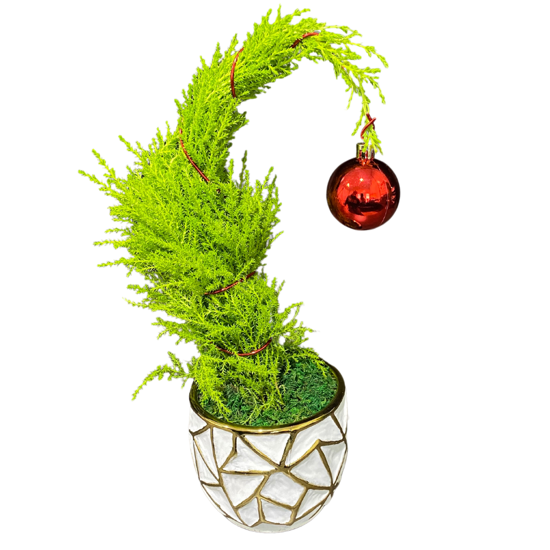 Christmas Grinch Tree Small Geo