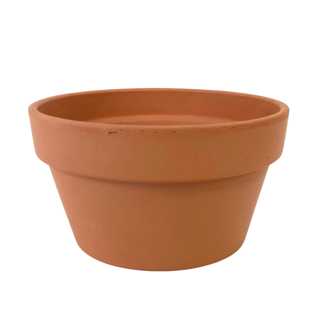 5"  Terracotta bowl