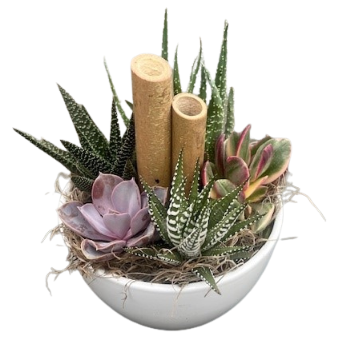 White Succulent Kitty Bowl