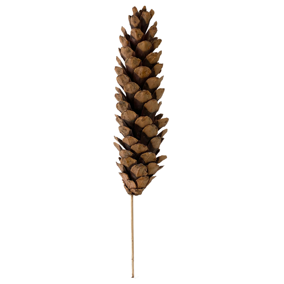 Large Pinecone Pick