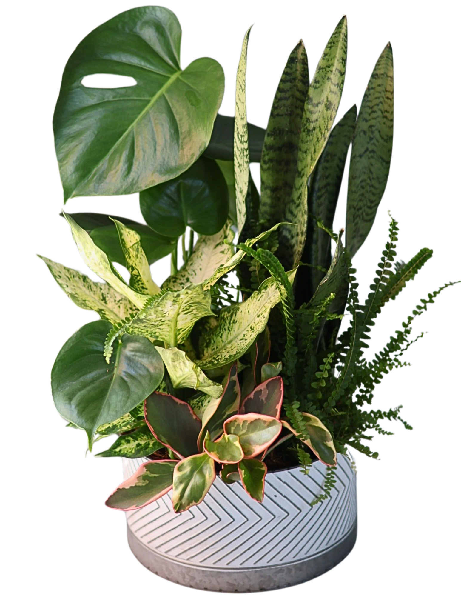 XL Herringbone Tin Mix Foliage