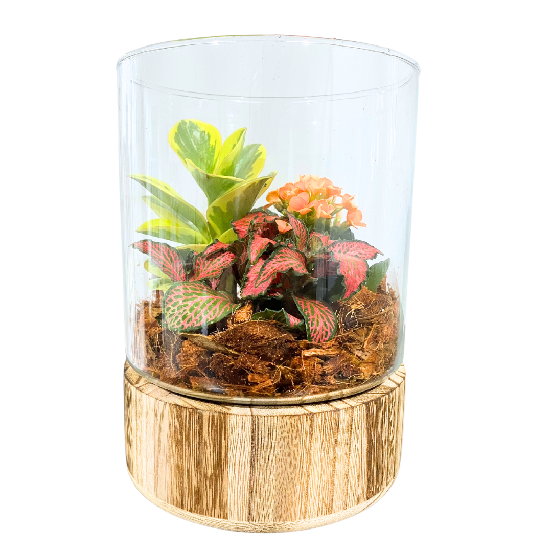 Wood Base Fall Tropical Terrarium - Cylinder