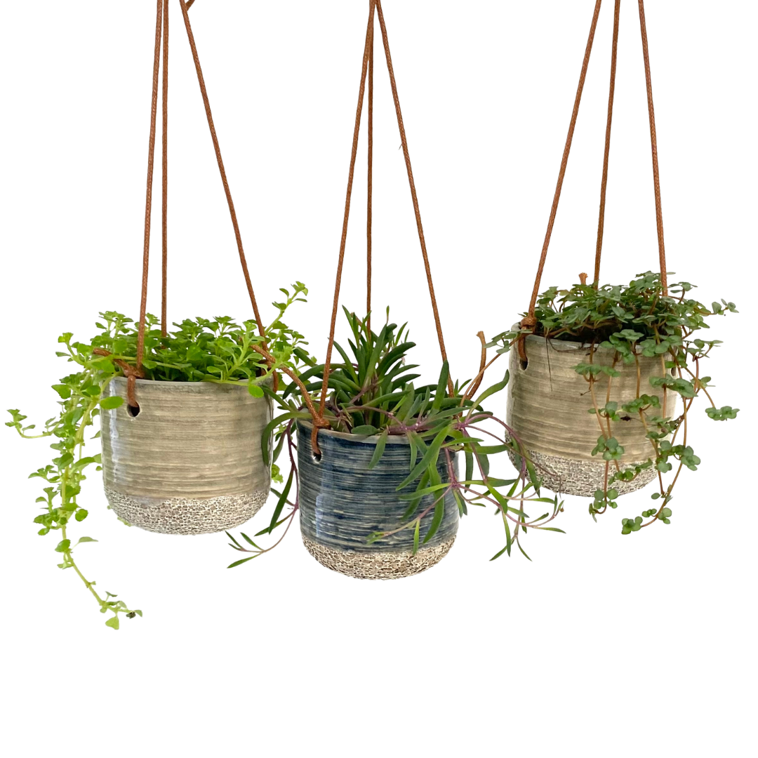 3" Hanging Tiny Tropicals (Pack 10)