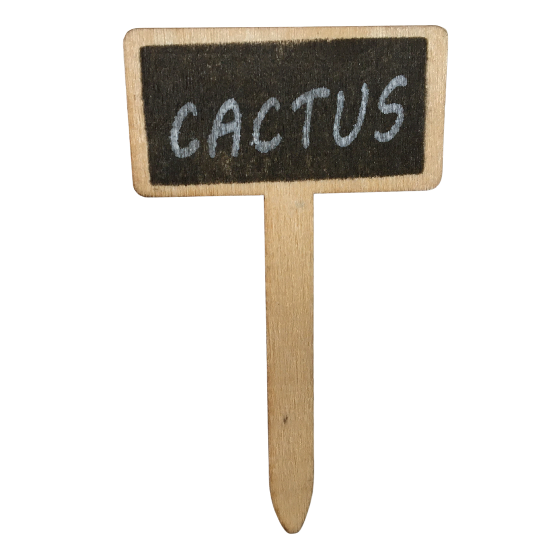 Cactus Pick (Pack12)