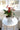 Christmas Anthurium White Star Planter Box