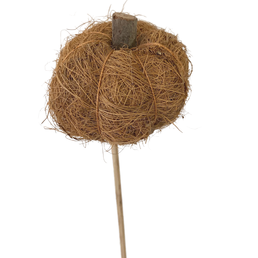 Brown Pumpkin Pick (Pack 12)