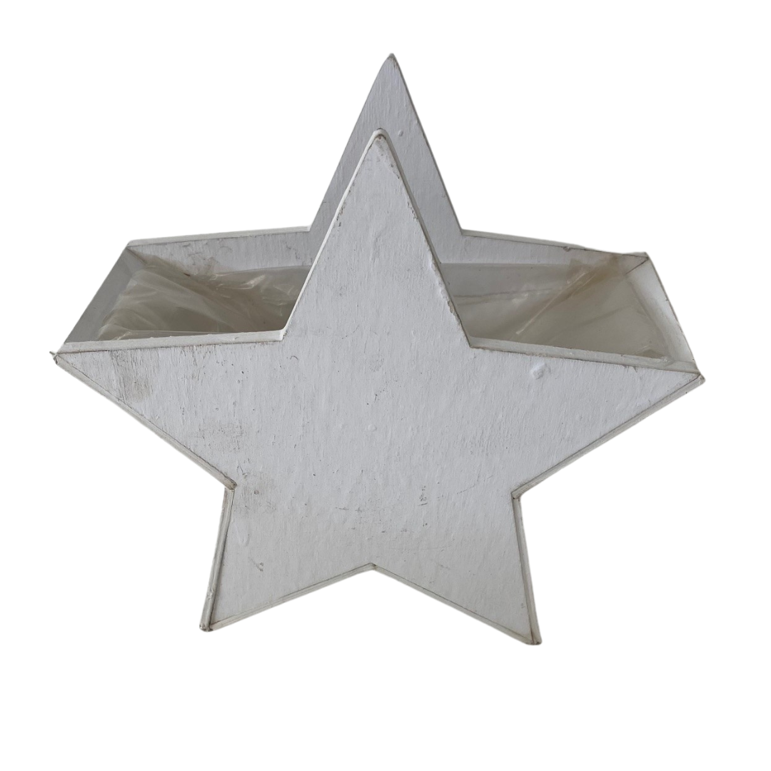 White Star Planter Box
