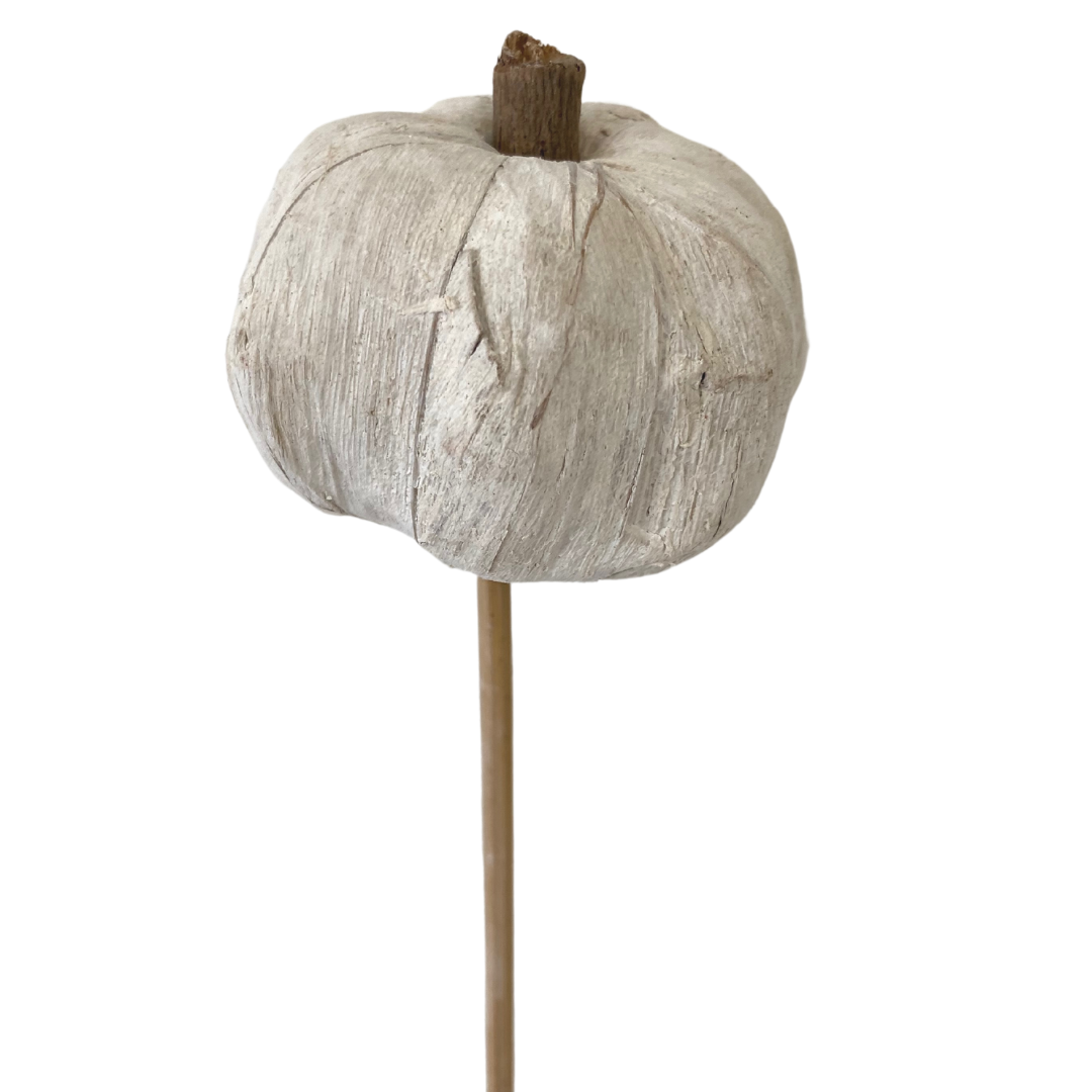White Pumpkin Pick (Pack 12)
